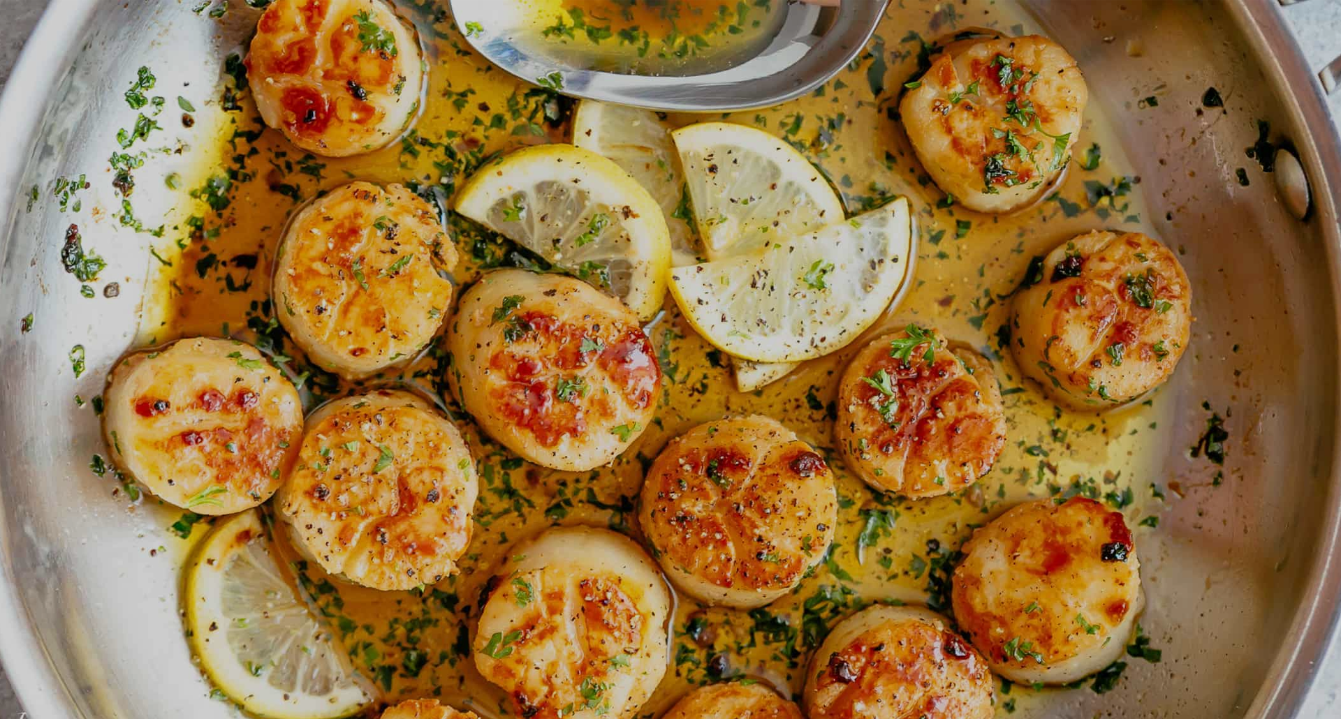 Pan Seared Sea Scallops w/ White Wine Garlic Butter