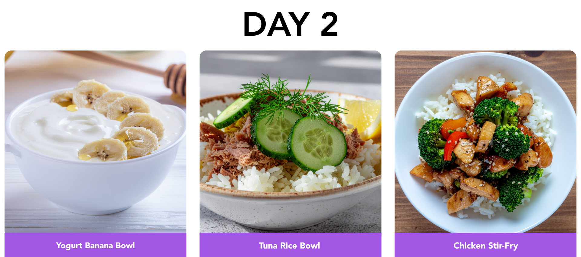 Day 2
