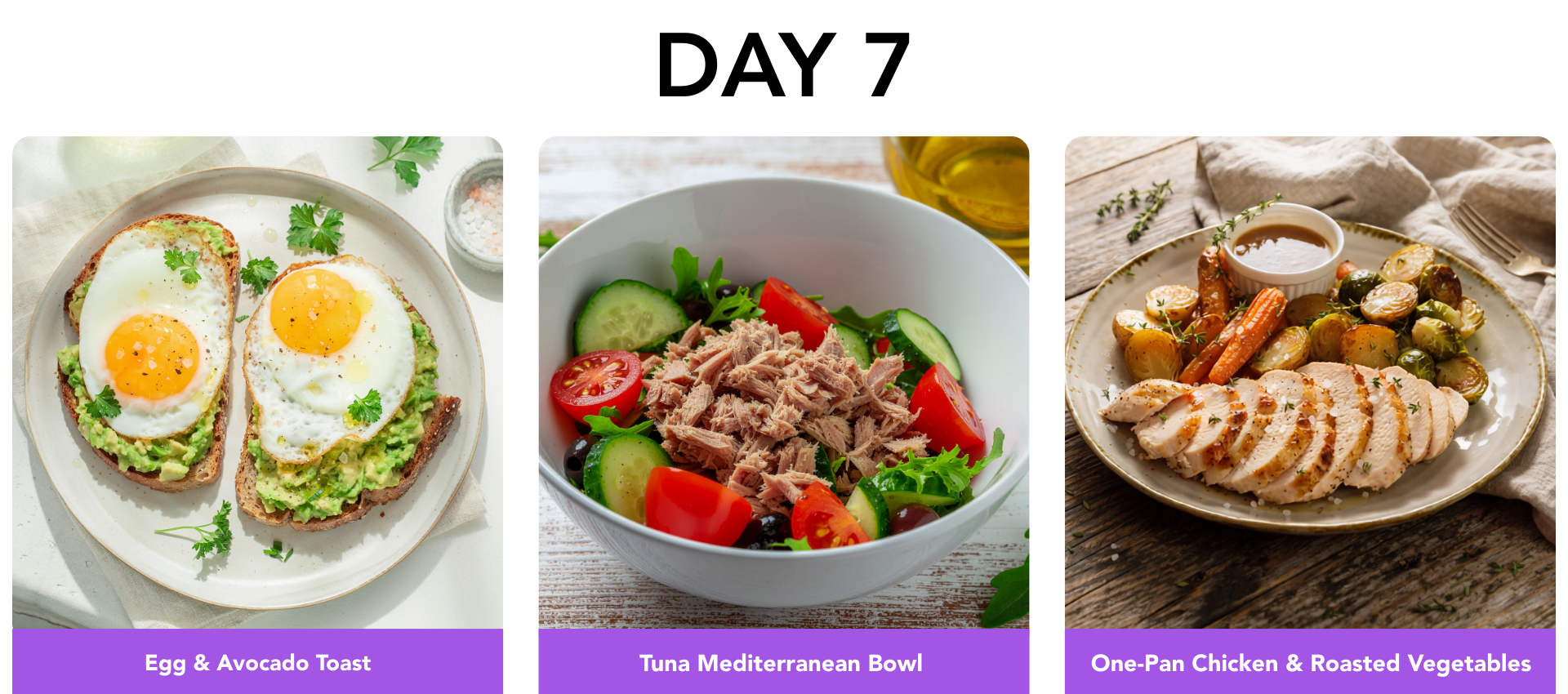 Day 7