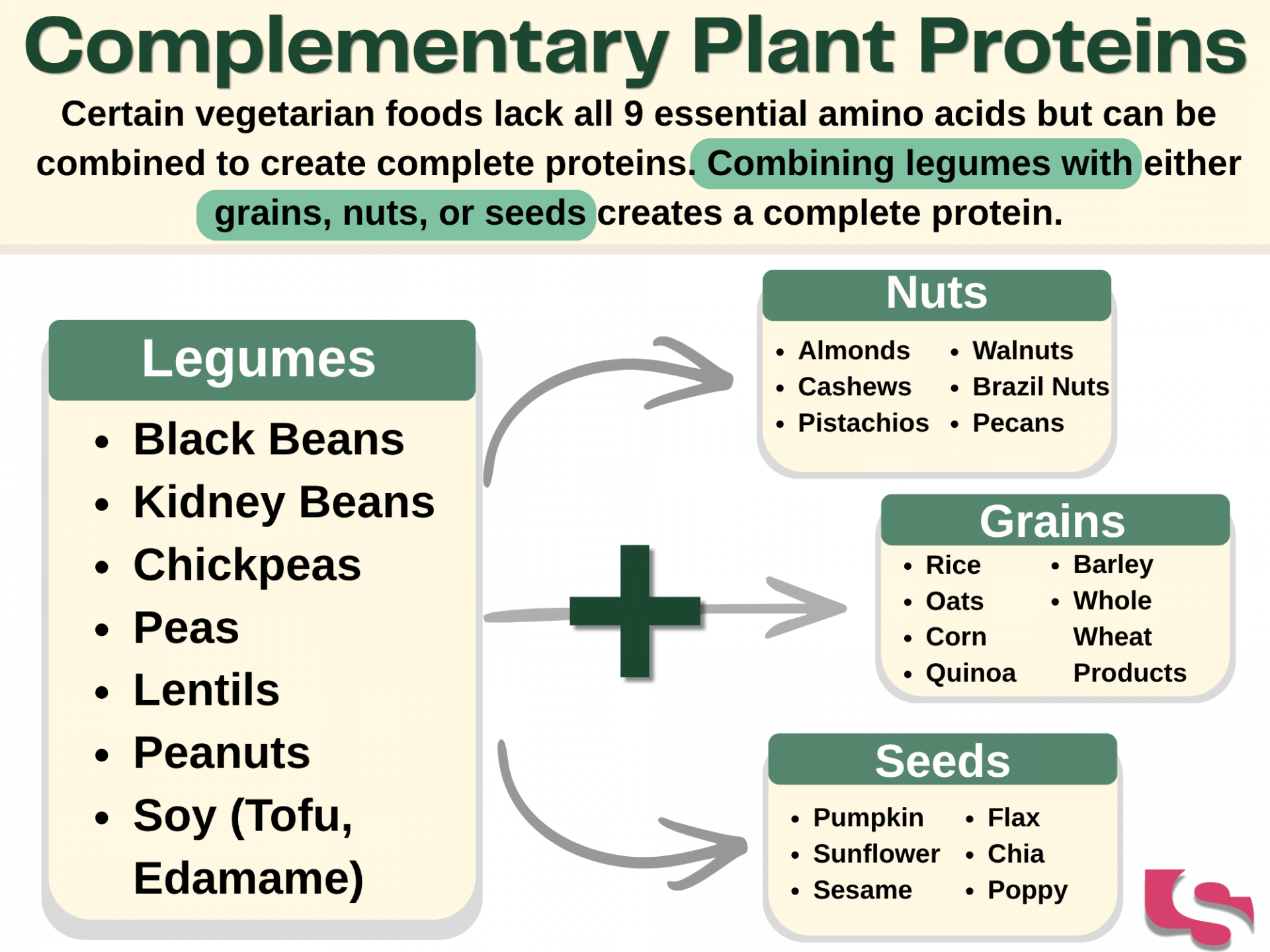 Complementary Plant Proteins Chart