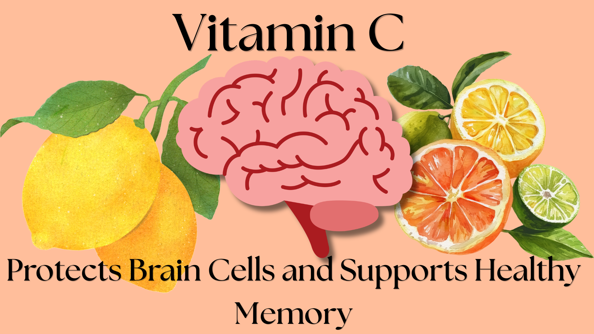 Vitamin C brain fact